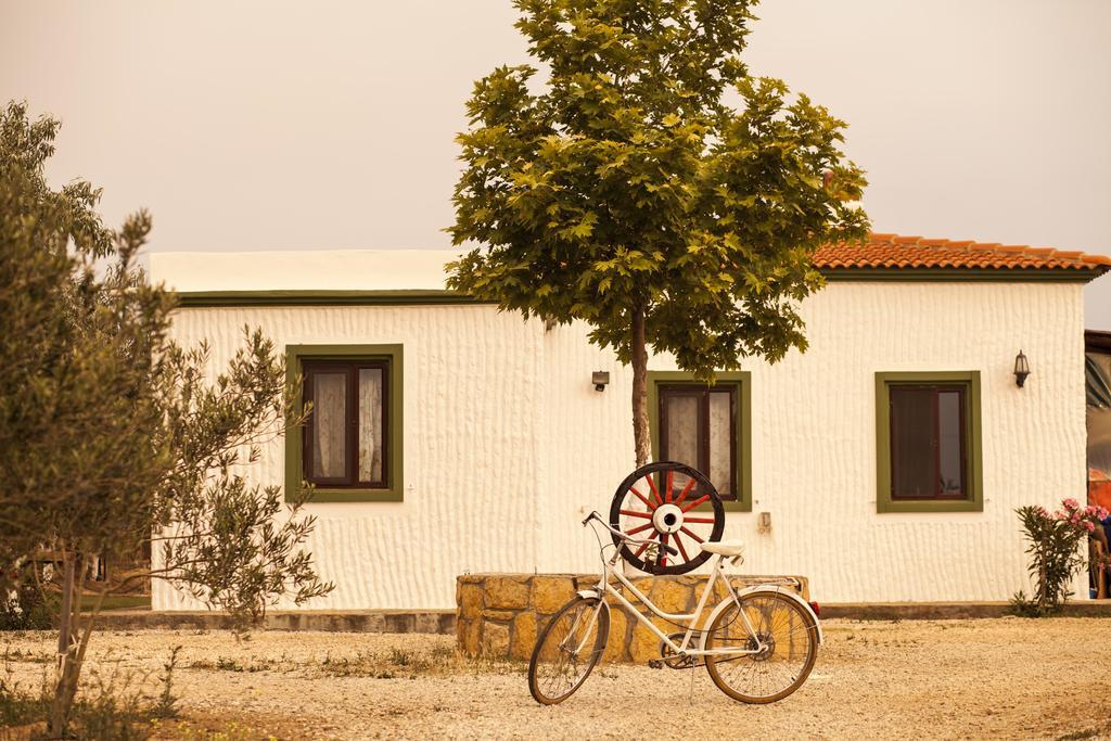 Bagban Bozcaada Bed and Breakfast Eksteriør billede